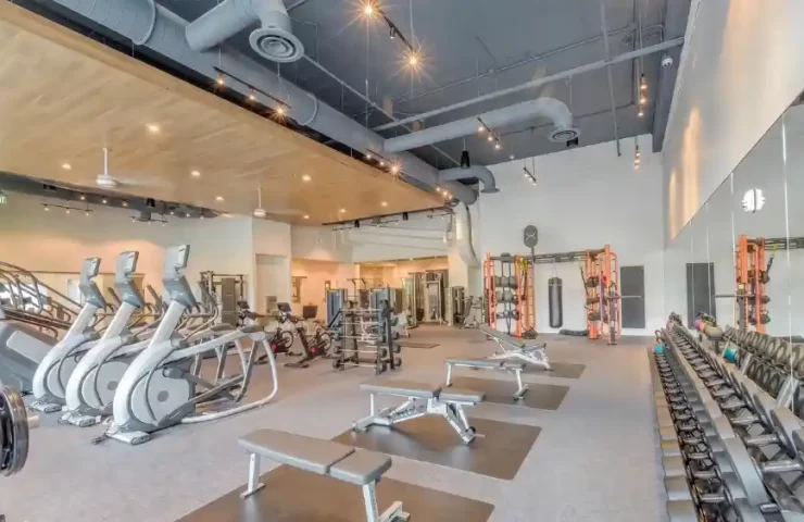 where to buy gym products